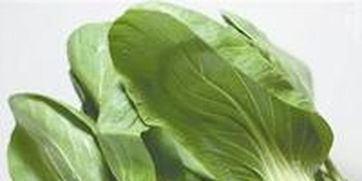 東莞農副產品智能配送中心全面啟動 高效服務惠及超兩萬居民