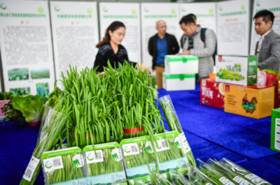 大灣區(qū)“菜籃子”產(chǎn)品清遠(yuǎn)配送中心開業(yè)，農(nóng)副產(chǎn)品“一站式”服務(wù)助力區(qū)域融合